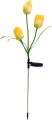 20240222_085835.png