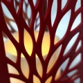 20240328_141053.jpg