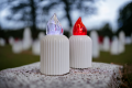 Photoroom-20240216_131805.png