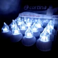 20240329_104556.jpg