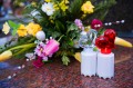 DSC_1016.jpg