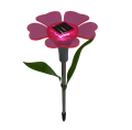 20250213_101027-Photoroom.png