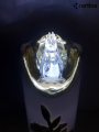 20260302_125118.png