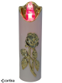 20260303_081550.png